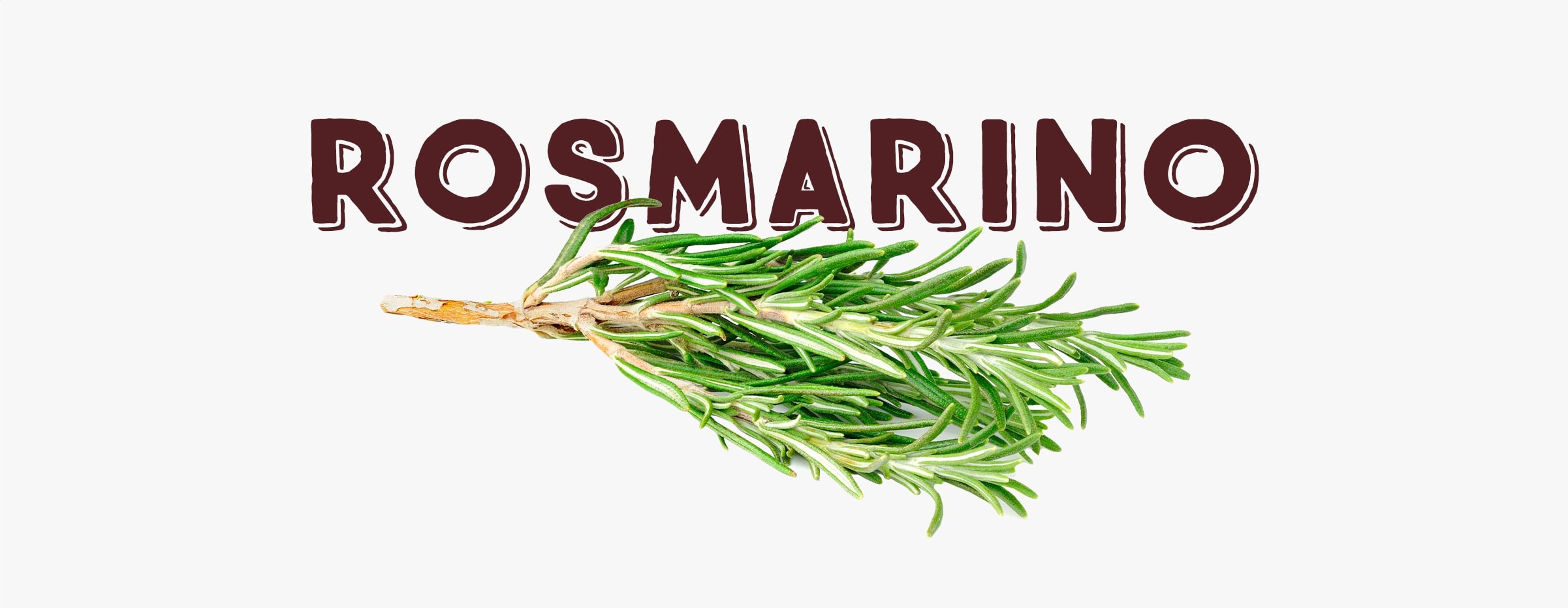 Rosmarino