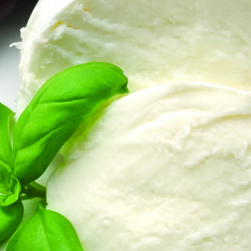 Mozzarella di bufala e basilico