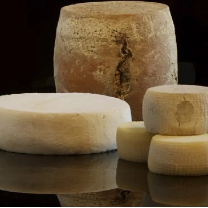 5 tipologie di formaggio pecorino