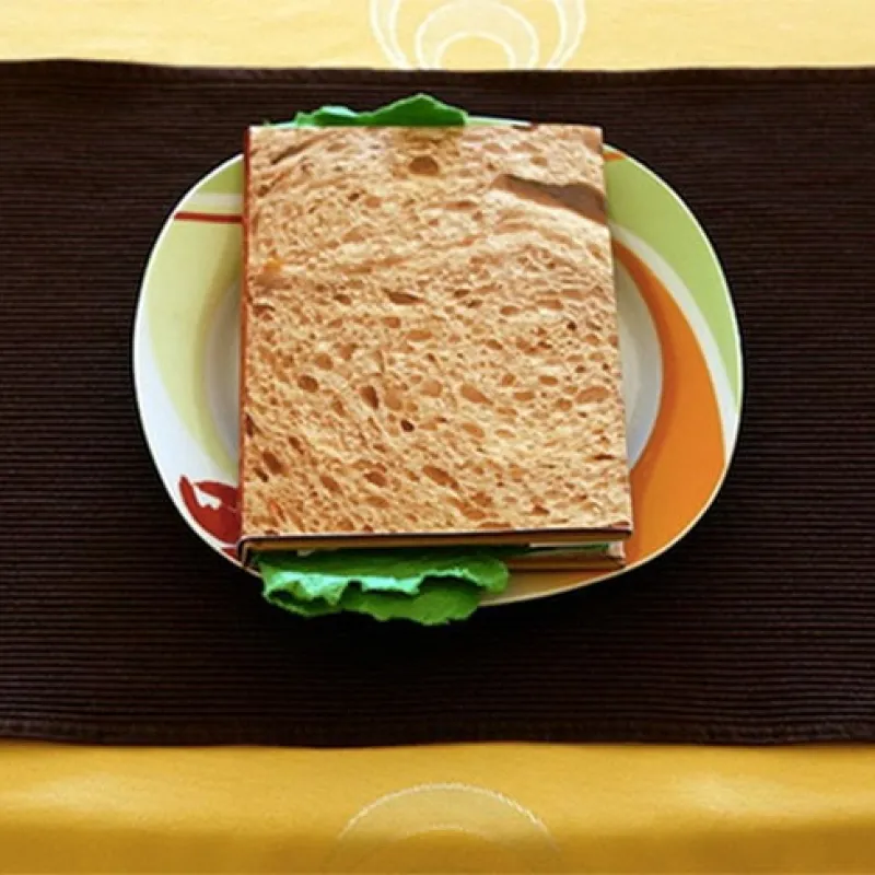 Sandwich book